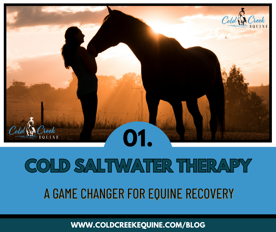 A loving horse owner petting the nose of her equine