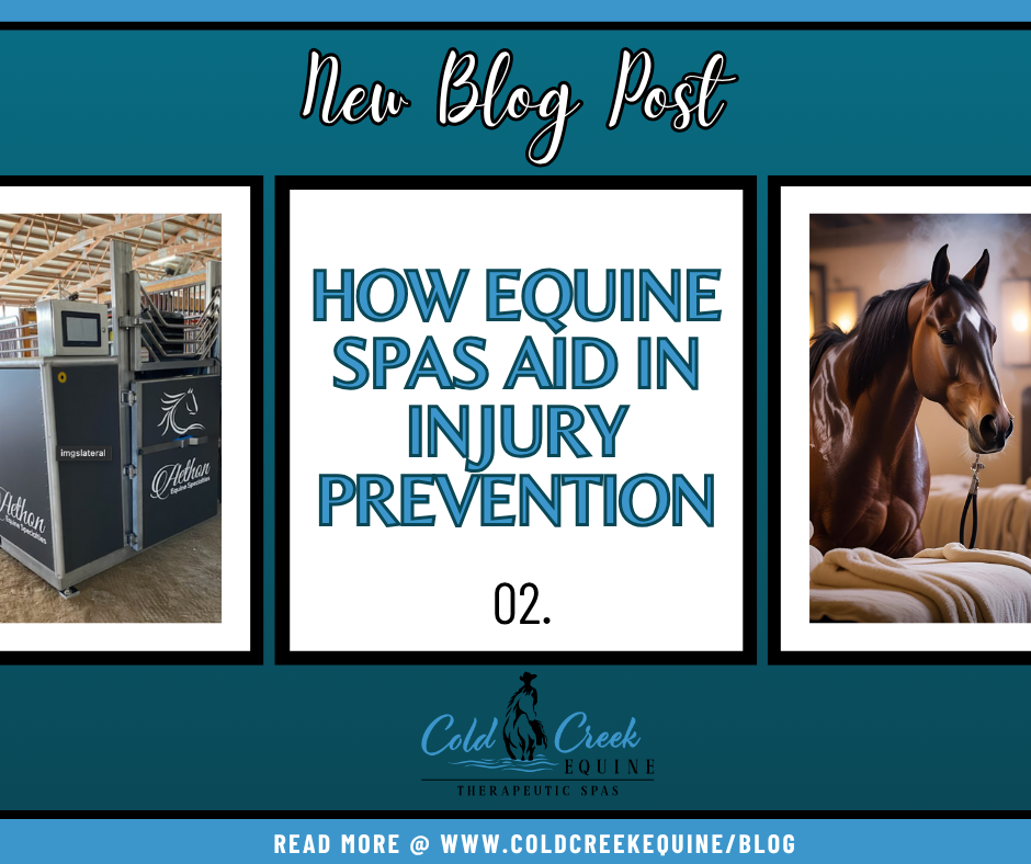 Showcasing the newest blog about injury prevention for Equine Spas