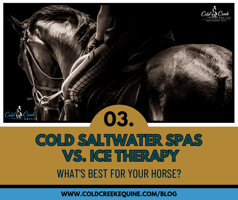 Performances horses need the best and tried options for healing and wellness. Cold Saltwater Spas do just the trick