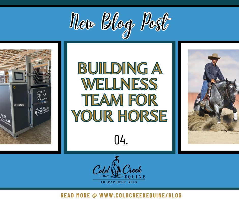 Building a Wellness Team for you horse is such an important task to keep them in peak performance!